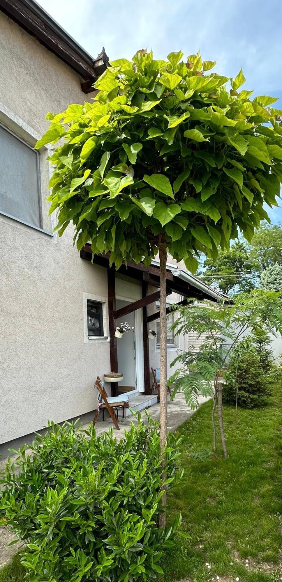 Day & Night Apartment ชูปริยา ภายนอก รูปภาพ